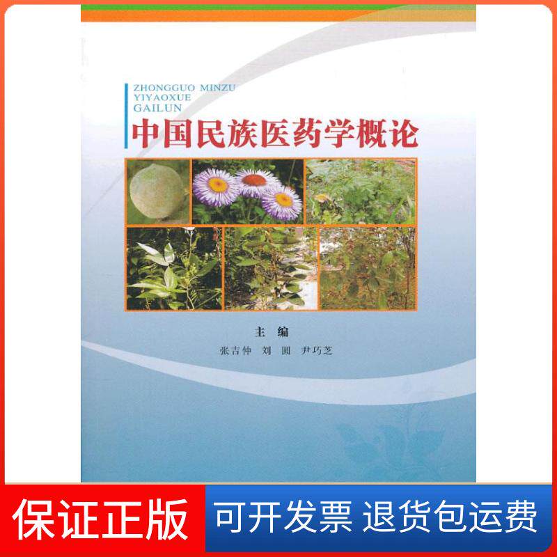 【保正版】中国民族医药学概论张吉仲 等 编 著四川科学技术出版社9787536476530