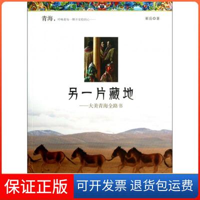 【保正版】另一片藏地--大美青海全路书崔岳清华大学9787302320593