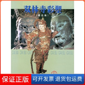 【保正版】双林寺彩塑金维诺 著天津人民美术出版社9787530519615