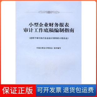 【保正版】小型企业财务报表审计工作底稿编制指南中国注册会计师协会组织编写 著 中国注册会计师协会组织编写 译