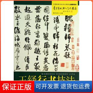 【保正版】王铎行书技法雅风斋金盾出版社9787508283999
