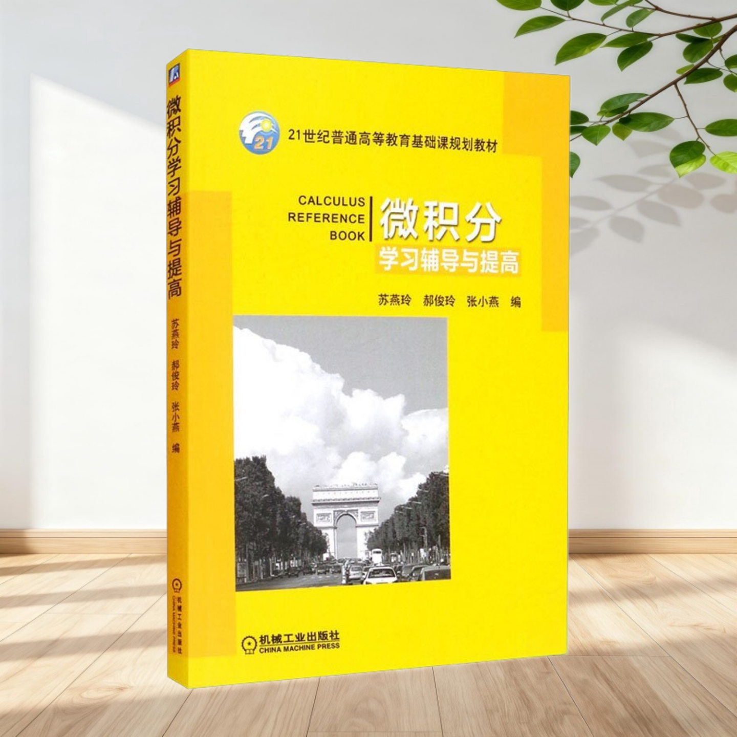 微积分学习辅导与提高苏燕玲