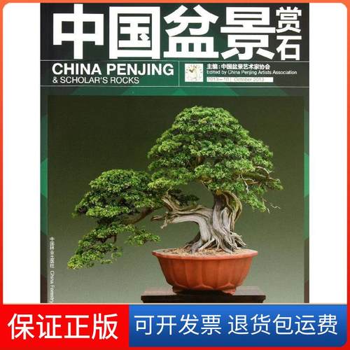 【正版】中国盆景赏石 （2013.10）中国盆景艺术家协会中国林业出版社9787503872105