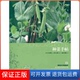 保正版 种菜手帖 日 妻路加年雄湖北科学技术出版 社9787535249081