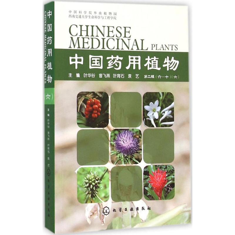 保证正版】中国药用植物（6）叶华谷等化学工业出版社