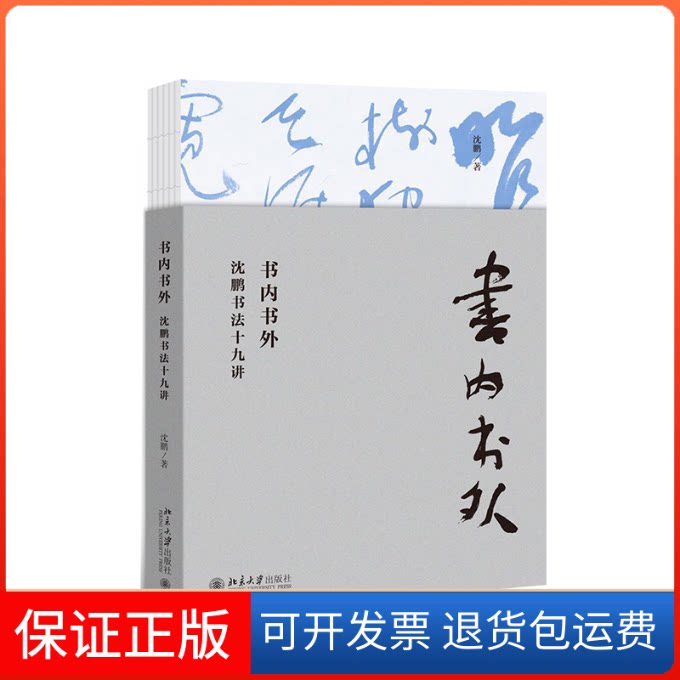 【保正版】书内书外:沈鹏书法十九讲沈鹏 著北京大学出版社9787301309971