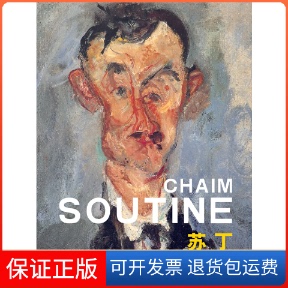 【保正版】《苏丁》王兴吉吉林美术出版社9787538682113