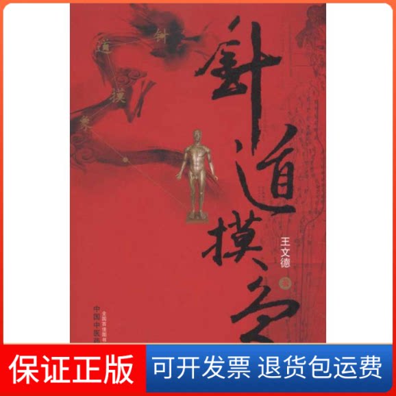 【保正版】针道摸象王文德中国医出版社9787513203456