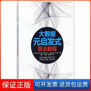算法教程康宁宫鑫刘婷婷人民邮电出版 启发式 大数据元 社 保正版