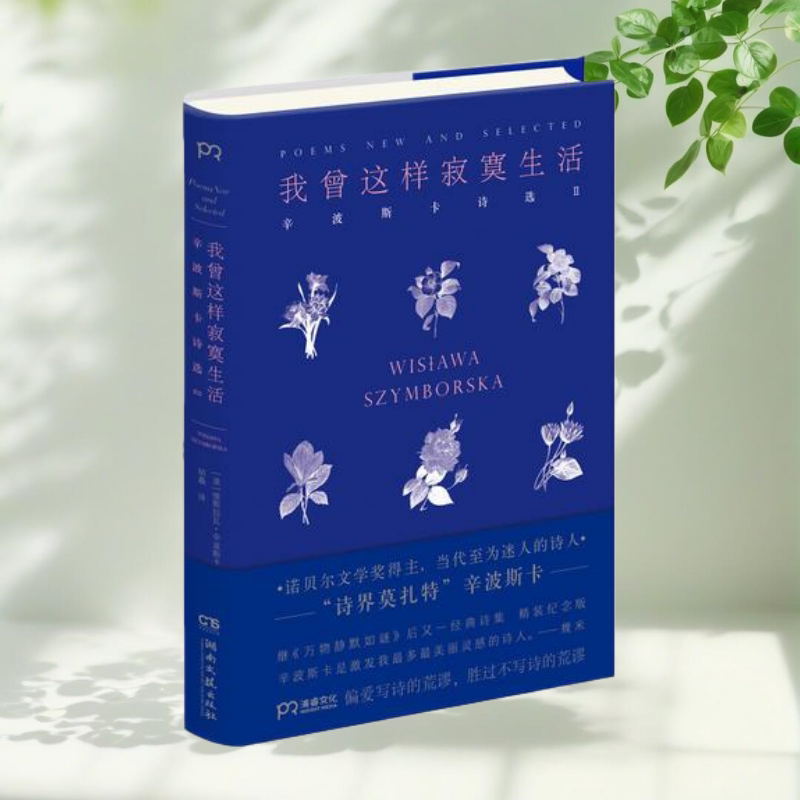我曾这样寂寞生活精装维斯拉瓦