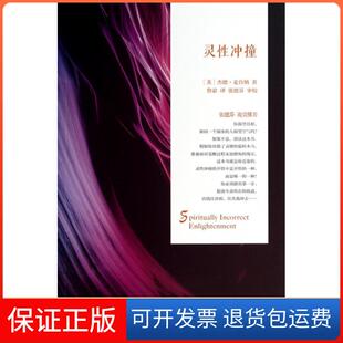 【保正版】灵冲撞(美)杰德·麦肯纳|译者:鲁宓华夏9787508081137