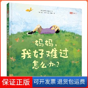 【保正版】妈妈我好难过怎么办(精)(美)黛博拉·塞兰尼 著 刘宣谷 译中国妇女出版社9787512719736