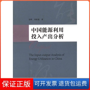 【保正版】中国能源利用投入产出分析宋辉中国市场出版社9787509211045