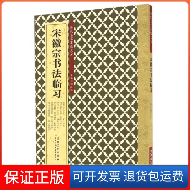 【保正版】宋徽宗书法临习/历代名家墨迹大全胡峡江安徽美术9787539862613