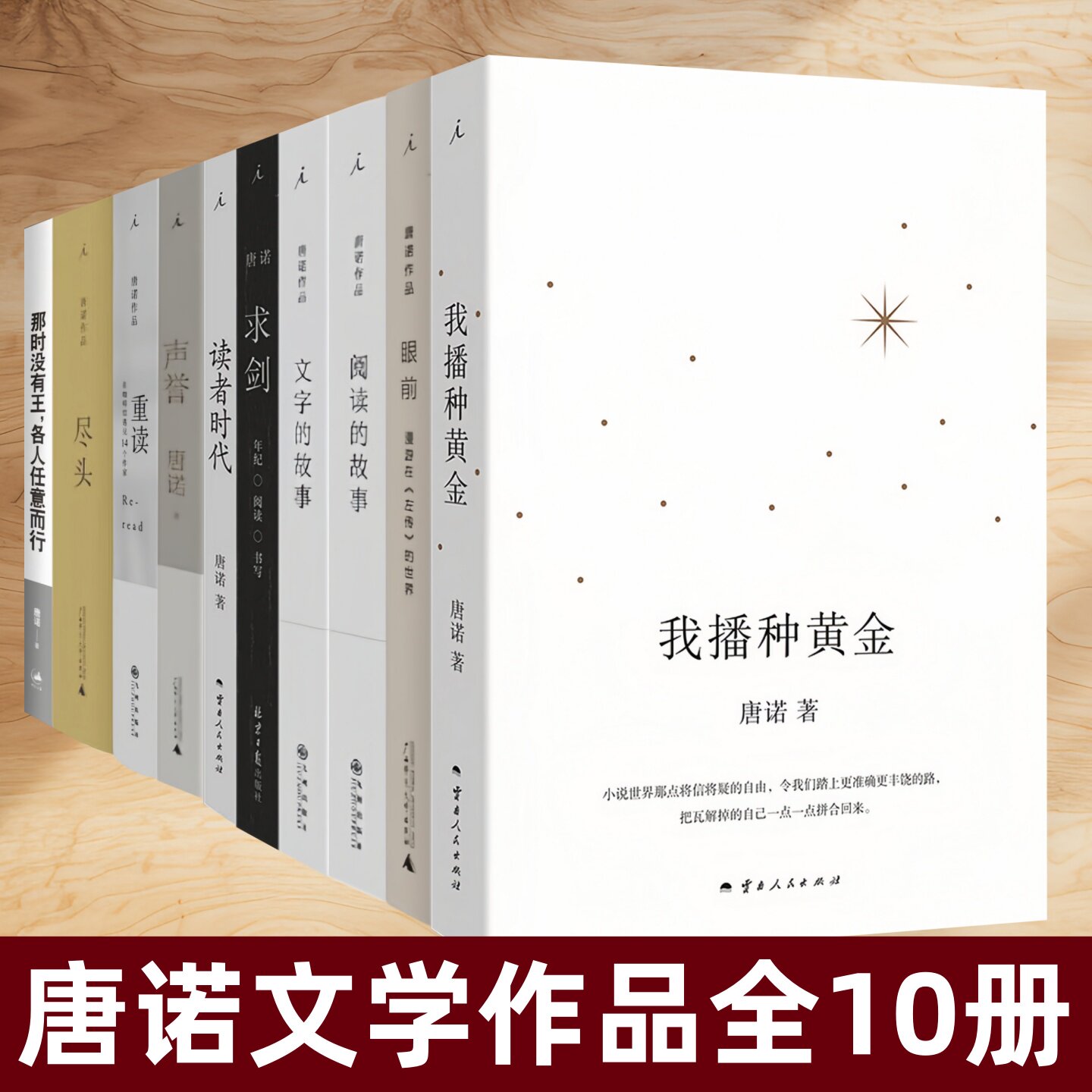 唐诺文学作品全10册我播种黄金