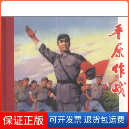 【保正版】平原作战庄宏安上海人民美术出版社9787532285433