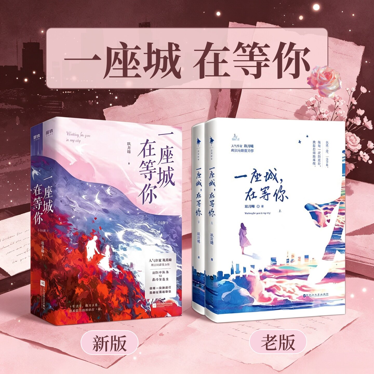 一座城在等你上下册玖月晞著