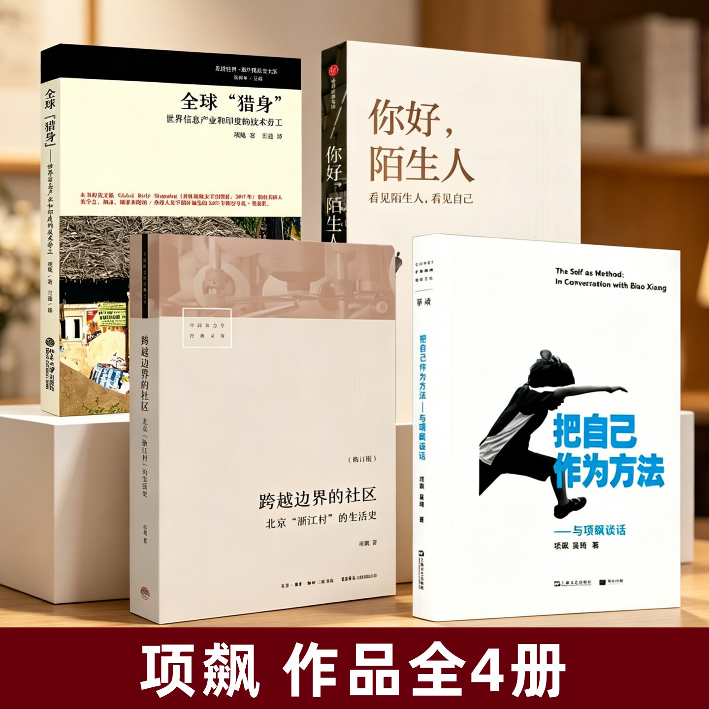 项飙作品集全四册】你好 陌生人+ 跨越边界的社区 北京浙江村的生活史+ 把自己作为方法 与项飙谈话+全球猎身
