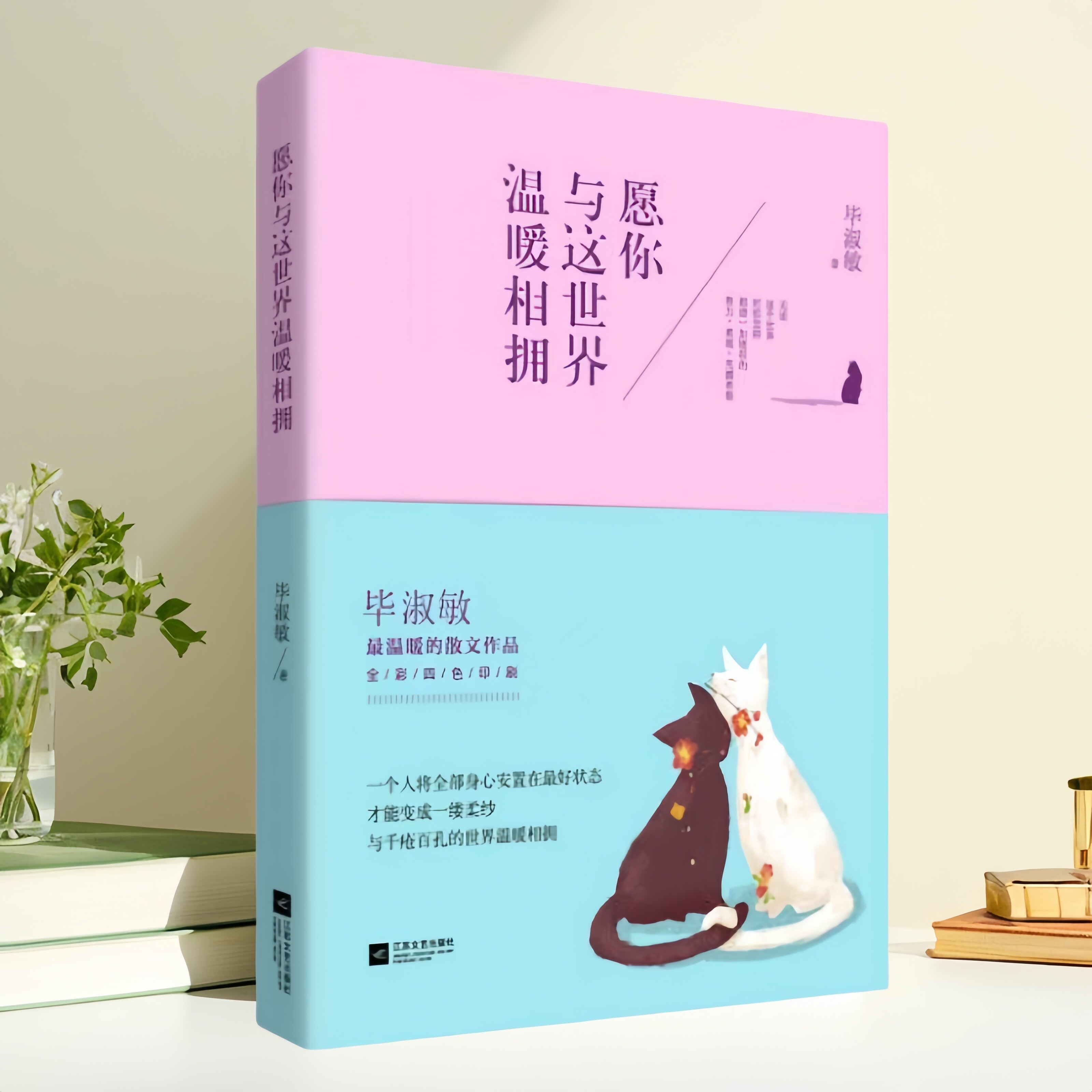 愿你与这世界温暖相拥毕淑敏著