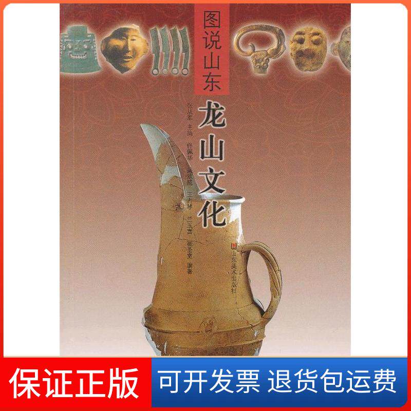 【保正版】图说山东  龙山文化张从军　主编山东美术出版社9787533031015