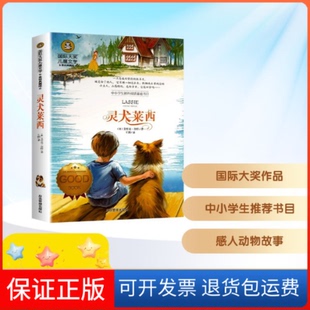 【保正版】灵犬莱西/国际大奖儿童文学【美】艾里克·奈特 著 王玥 译应急管理出版社9787502074487