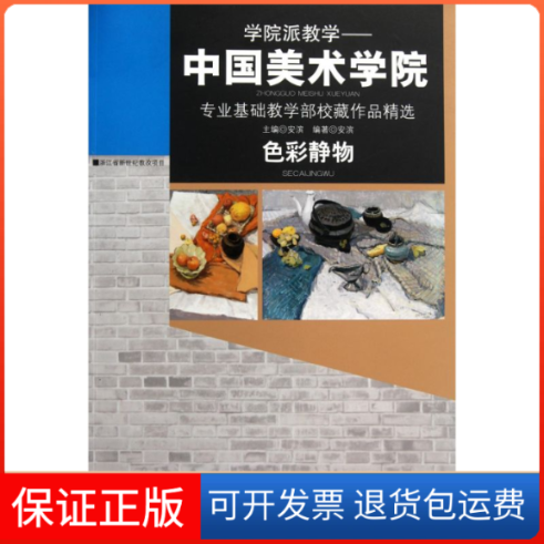 【保正版】色彩静物/学院派教学安滨 著江西美术出版社9787548006336