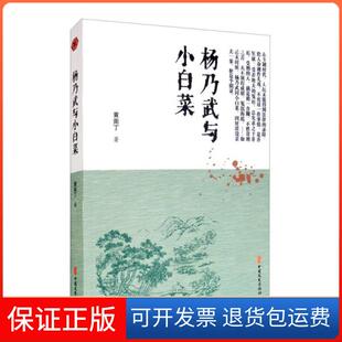【保正版】杨乃武与小白菜/明清小说书系黄南丁中国文史出版社9787520518710