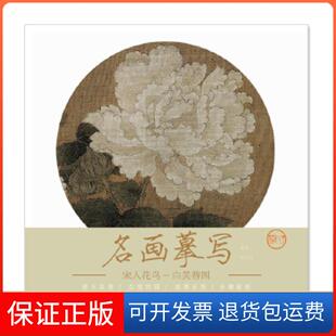 保正版 社江西美术出版 名画摹写——宋人花鸟 白芙蓉图江西美术出版 社9787548059455