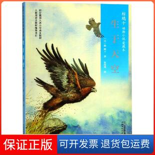 【保正版】生于天空(日)椋鸠十 著 安伟邦 译二十一世纪出版社集团有限公司9787556833627