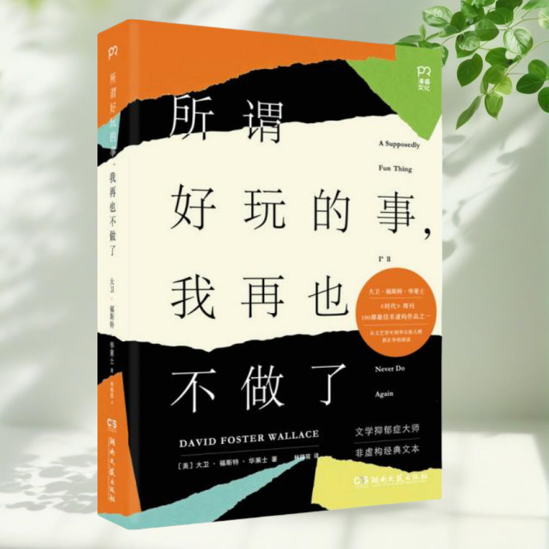 【正版包邮】所谓好玩的事我再也不做了 林晓筱译 湖南文艺出版社