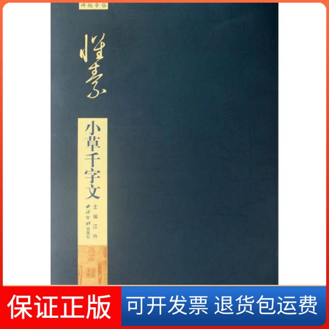 【保正版】碑帖导临 怀素小草千字文江吟 编西泠印社出版社9787550801684