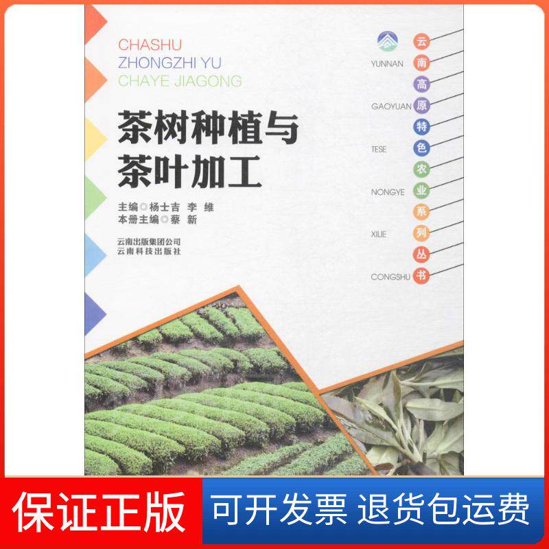 【保正版】茶树种植与茶叶加工蔡新 主编云南科技出版社9787541687068