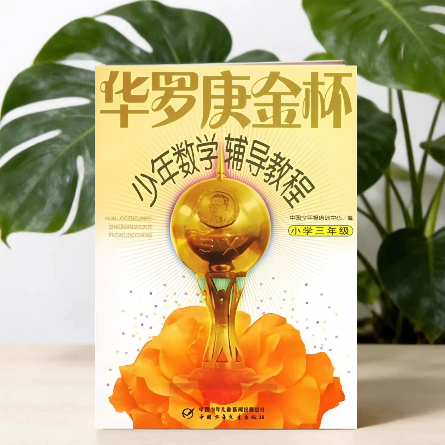 华罗庚金杯少年数学辅导教程