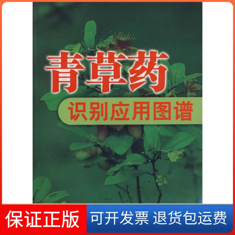 【保正版】青草药识别应用图谱冼建春//林日初 著福建科学技术出版社9787533526979