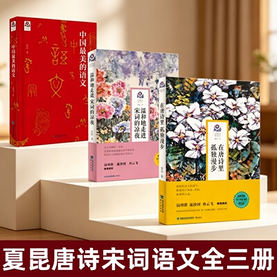 在唐诗里孤独漫步夏昆著