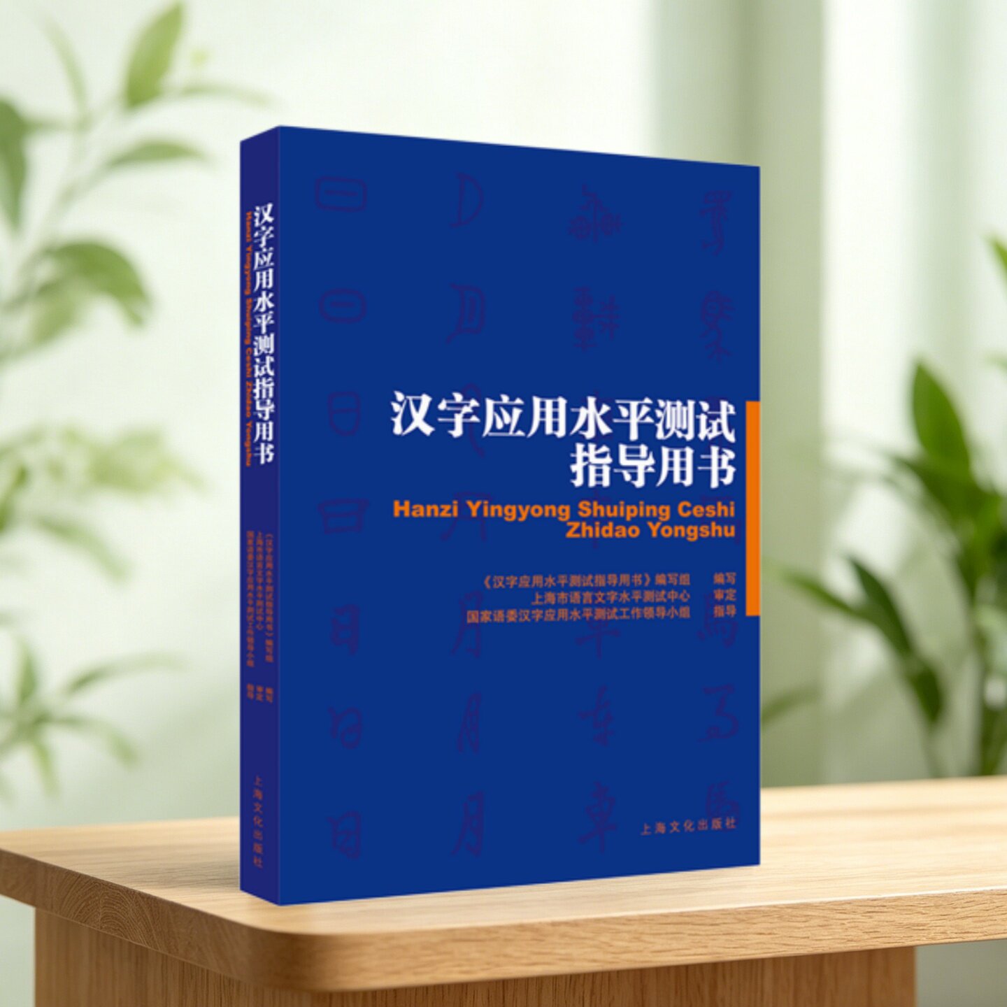 汉字应用水平测试指导用书