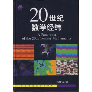 旧书 正版 20世纪数学经纬张奠宙 著华东师范大学出版 社