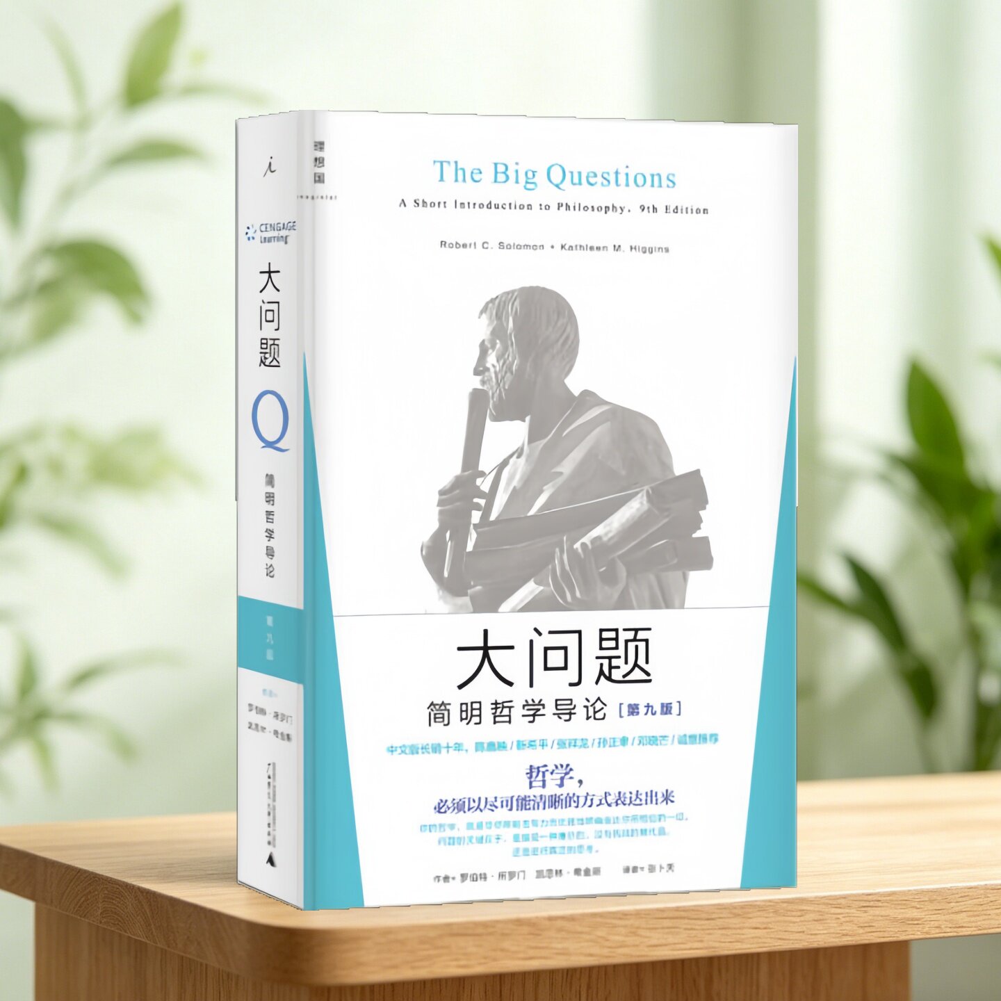 大问题简明哲学导论罗伯特
