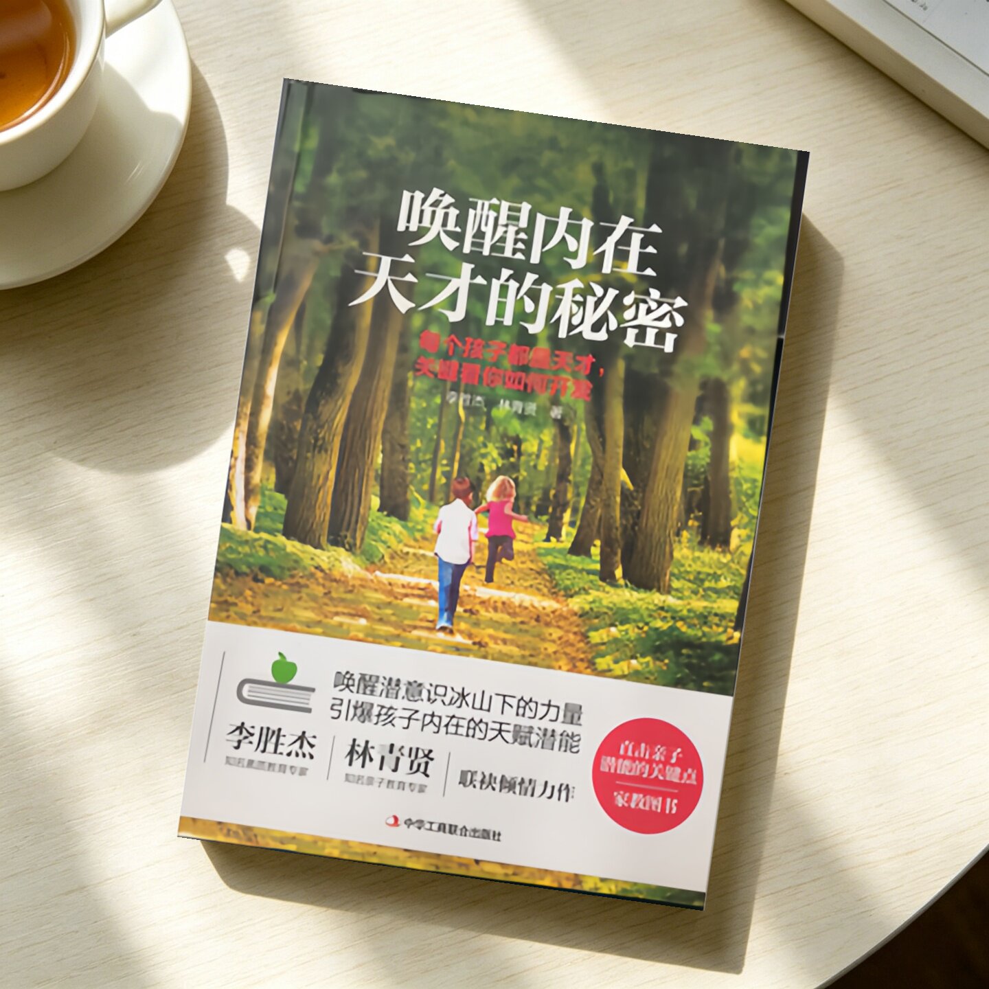 唤醒内在天才的秘密李胜杰著