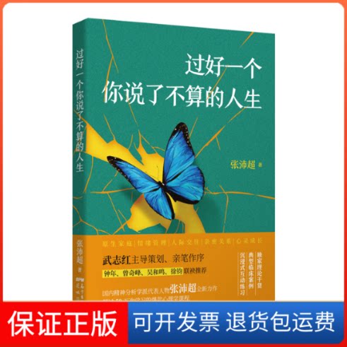 【保正版】过好一个你说了不算的人生张沛超 著花城出版社9787536091696