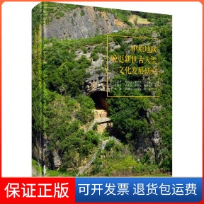 【正版新书】中原地区晚更新世古人类文化发展研究王幼平科学出版社