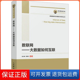 社9787115488091 数联网——大数据如何互联段云峰人民邮电出版 正版