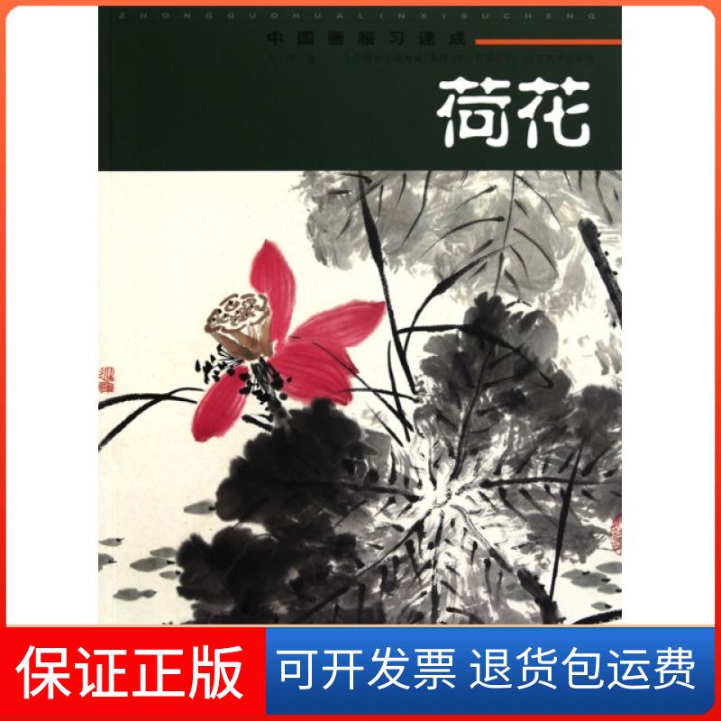 【保正版】中国画临习速成(荷花)王雨辽宁美术9787531446460