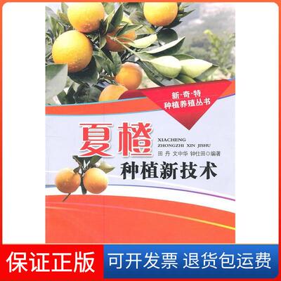 【保正版】夏橙种植新技术田丹湖北科学技术出版社9787535247551