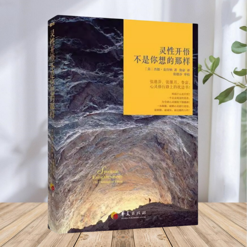 【正版包邮】灵性开悟不是你想的那样 美杰德麦肯纳著 鲁宓译 华夏出版社