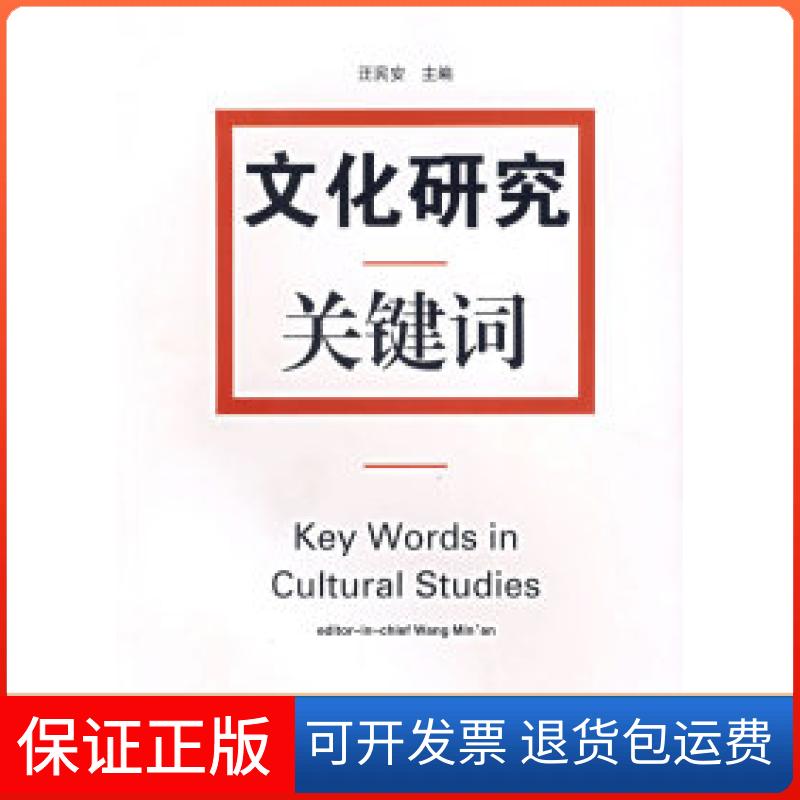 【保正版】文化研究关键词汪民安江苏人民出版社9787214044303