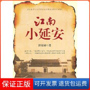 【保正版】江南小延安田家村红旗9787505130258