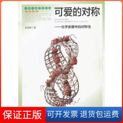 【保正版】走进化学丛书可爱的对称吴国庆　著湖南教育出版社9787535534941