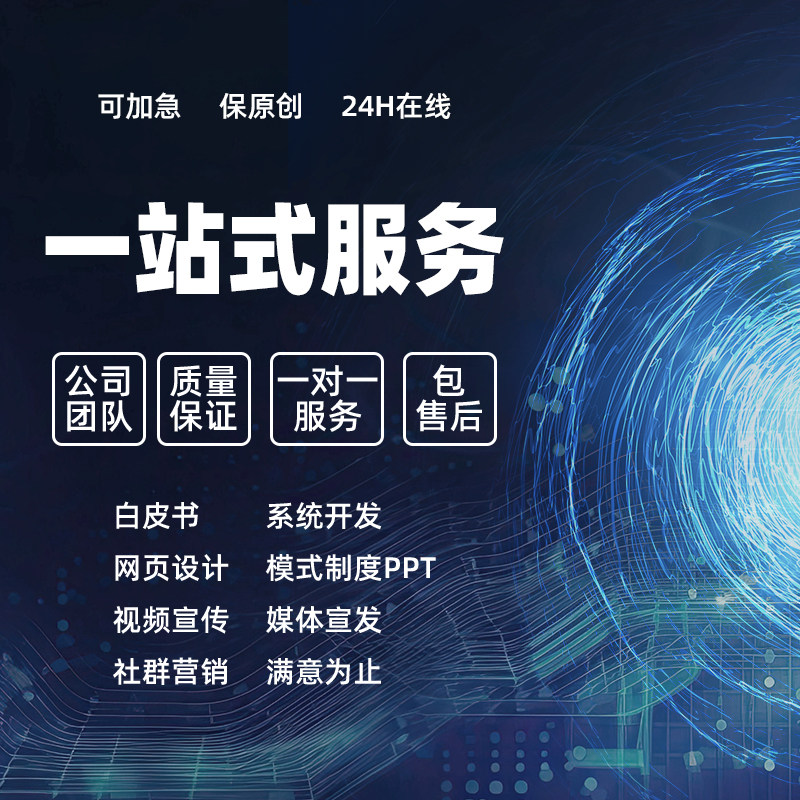 白皮书设计活动策划方案项目包装企业形象VI设计