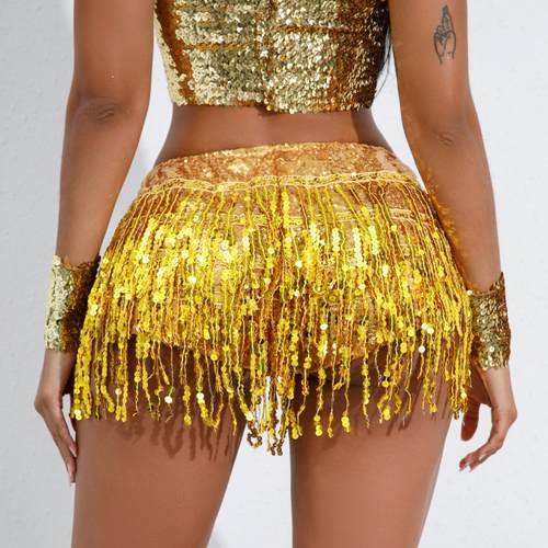Sequined skirt tassel skirt Latin dance skirt stage
